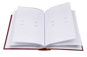 Album na zdjęcia w rozmiarze 10x15 - 200 zdjęć do wsuwania - 10x15/200 JOURNAL - Brązowy - ekoskóra
