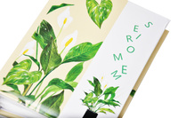 Album na 100 zdjęć w rozmiarze 10x15 cm do wsuwania - 10x15/100 GREEN GRASS  - klejony - jasny - kwiaty