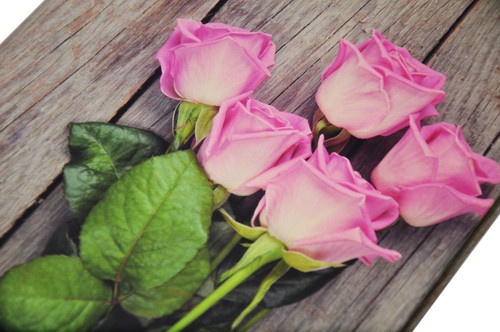 Album na zdjęcia samoprzylepny 20 kart 40 stron - FLOWER 3 - kwiaty - róże - zdjęcia pod folię