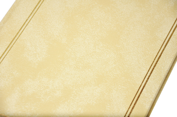 Album na 50 zdjęć do wsuwania w formacie 15x21 cm - 15x21/50 CLASSIC - Kościany/beżowy