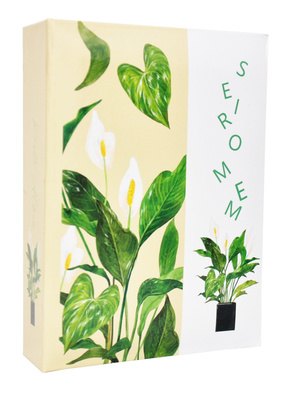 Album na 100 zdjęć w rozmiarze 10x15 cm do wsuwania - 10x15/100 GREEN GRASS  - klejony - jasny - kwiaty