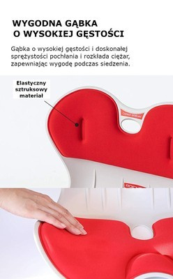 Krzesło do poprawy postawy, postury - krzesło korekcyjne - siedzisko korekcyjne - fotel korekcyjny - ROICHEN posture chair - DLA MĘŻCZYZN