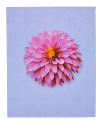 Album 10x15/200 COLORFUL - klejony - fioletowy - Kwiat