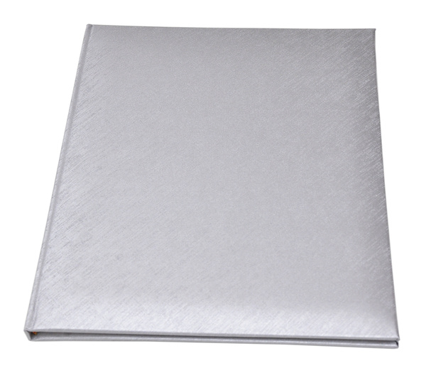 Album tradycyjny na zdjęcia do wklejania - DBCS20 CLEAN SILVER - 20 kart - 40 stron - srebrny - kremowe karty