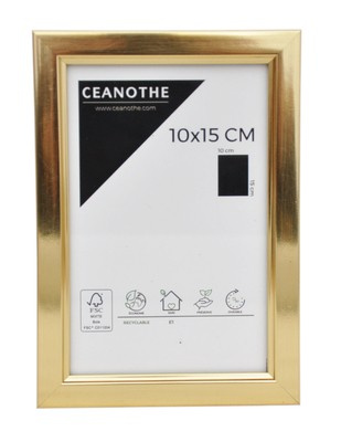 Ramka na zdjęcia format 10x15 cm - złota  - BDF10g