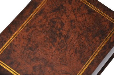 Album na 304 zdjęcia do wsuwania w rozmiarze 9x13 cm - 9x13/304 CLASSIC - Brązowy