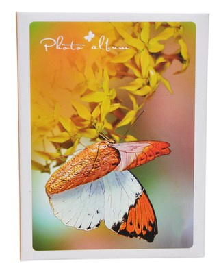Album na zdjęcia w rozmiarze 10x15 na 100 zdjęć FLY - klejony - pomarańczowy - motyl - kwiaty
