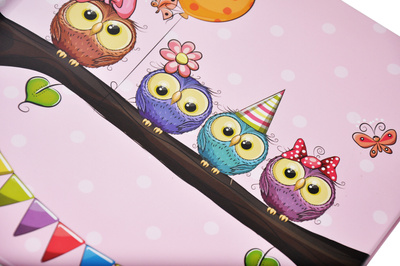 Album na zdjęcia do wsuwania zdjęcia w rozmiarze 10x15 cm - Album na 200 zdjęć - BABY 15 - Różowy - Sówki