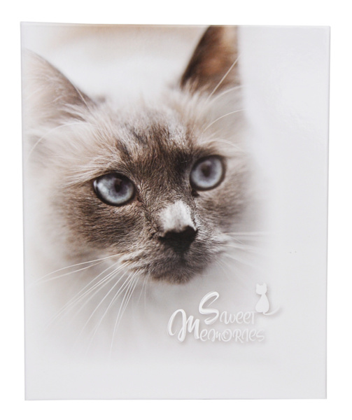 Album na 200 zdjęć do wsuwania w rozmiarze 10x15 cm - 10x15/200 PUPIL - klejony - biały - Kotek