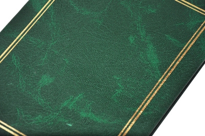 Album na 36 zdjęć w rozmiarze 15x21 cm do wsuwania 15x21/36 CLASSIC- zielony - złota ramka