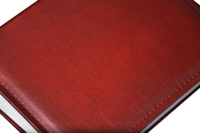 Album 10x15/304 QUEEN - Bordowy