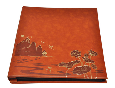 Wyrafinowany Album na 500 zdjęć do wsuwania w formacie 10x15 cm - 10x15/500 LOTUS POND BROWN- brązowy - ekoskóra