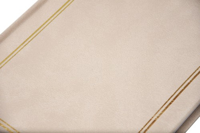 Album na 300 zdjęć do wsuwania w formacie 10x15 cm - 10x15/300 CLASSIC IVORY - kremowy