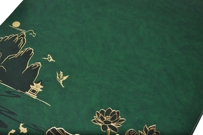 Wyrafinowany Album na 500 zdjęć do wsuwania w formacie 10x15 cm - 10x15/500 LOTUS POND GREEN - szmaragdowozielony - ekoskóra