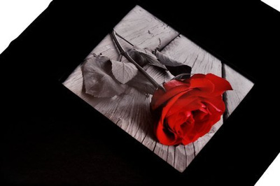 Album na zdjęcia do wklejania tradycyjny - DBCS20 BLACK - Czarny - Kremowe karty