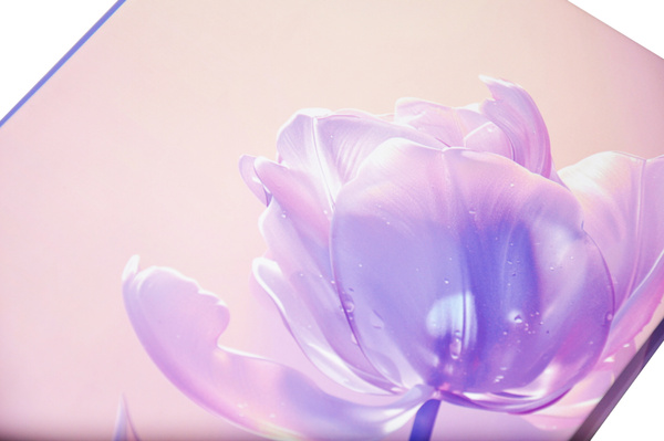 Album na zdjęcia w rozmiarze 10x15 - 304 zdjęcia do wsuwania - 10x15/304 DREAM FLOWER- różowy -  kwiaty