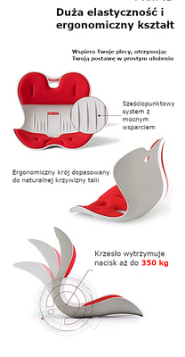 Krzesło do poprawy postawy, postury - krzesło korekcyjne - siedzisko korekcyjne - fotel korekcyjny - ROICHEN posture chair - DLA MĘŻCZYZN