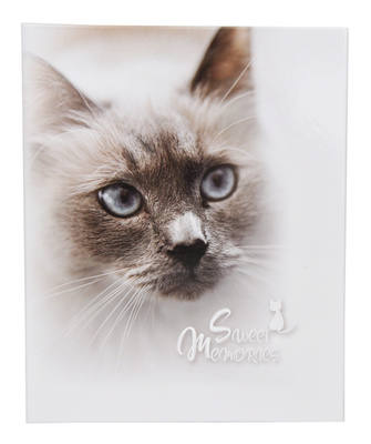Album na 200 zdjęć do wsuwania w rozmiarze 10x15 cm - 10x15/200 PUPIL - klejony - biały - Kotek