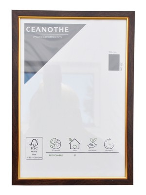 Ramka na zdjęcia plakat dyplom w rozmiarze 18x24 cm - brązowo złota - PRIMO DORE