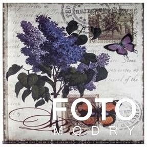 Album 10x15/200 ARTE 1 - Fioletowy Kwiat