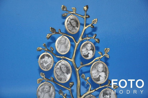 Ramka drzewko 10 zdj. CK-530 FAMILY 10XO-ZG