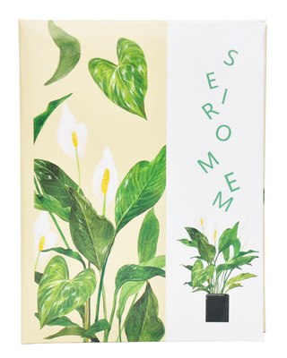 Album na 100 zdjęć w rozmiarze 10x15 cm do wsuwania - 10x15/100 GREEN GRASS  - klejony - jasny - kwiaty