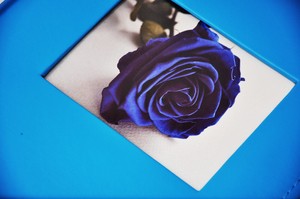 Album tradycyjny na zdjęcia do wklejania - DBCS20 BLUE - niebieski - 20 kart - 40 stron - CZARNE KARTY  - ekoskóra