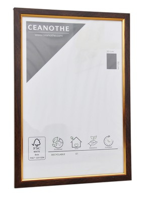 Ramka na zdjęcia plakat dyplom w rozmiarze 18x24 cm - brązowo złota - PRIMO DORE