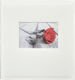 Album na zdjęcia do wklejania - tradycyjny - 50 kart 100 stron - DBCL50 WHITE - ecru - CZARNE KARTY